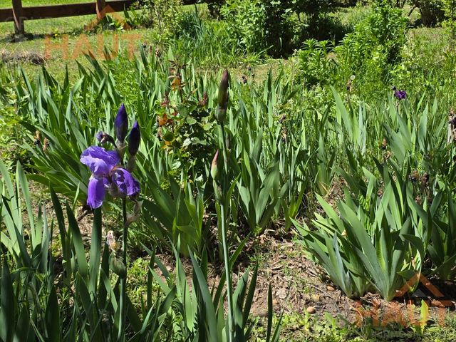 place photo 54