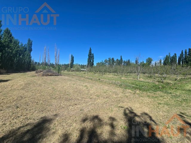 place photo 37