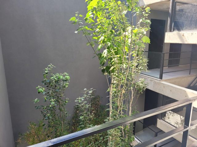 place photo 31