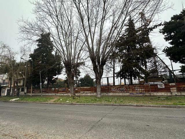 place photo 9