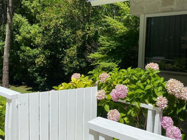 place photo 56