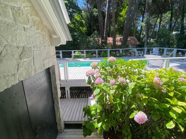 place photo 44