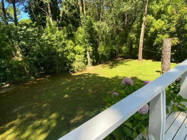 place photo 54