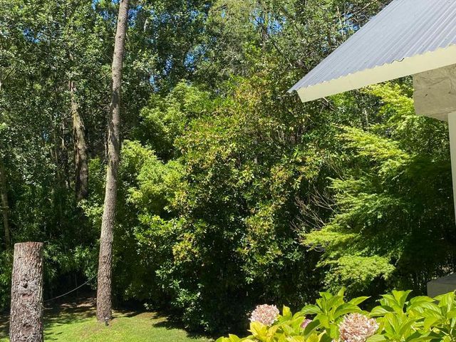 place photo 62