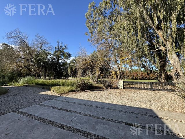 place photo 41