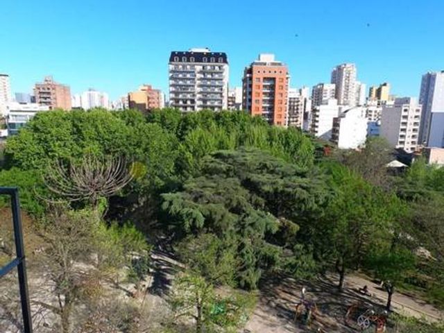 place photo 18