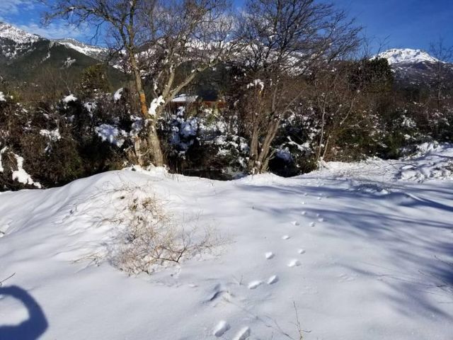 place photo 46