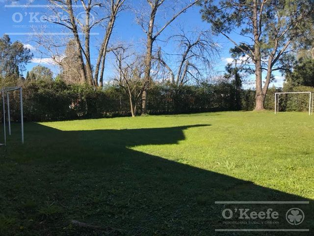 place photo 21