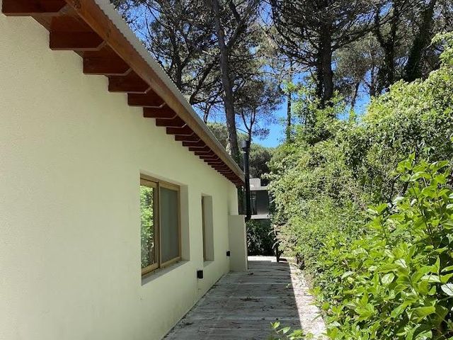 place photo 75
