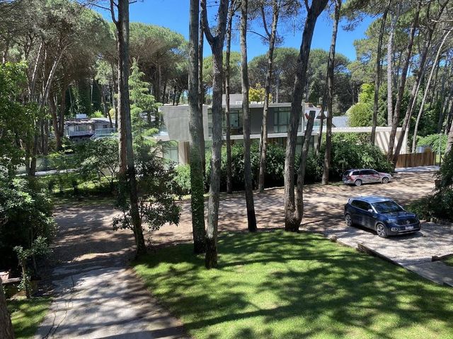 place photo 60