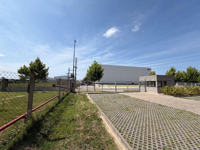 place photo 49