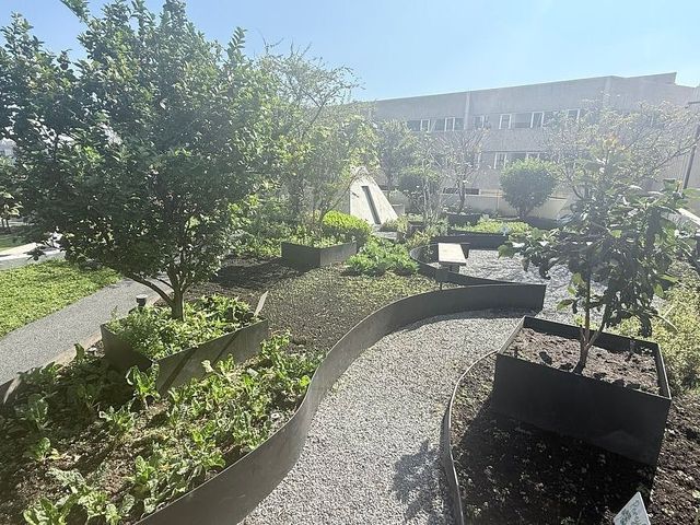 place photo 48