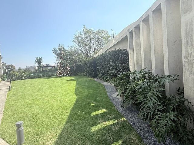 place photo 47
