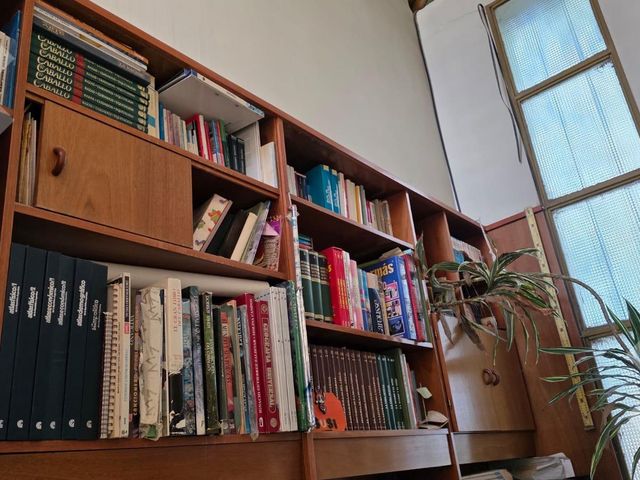 place photo 32