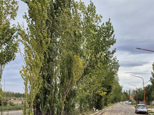 place photo 53