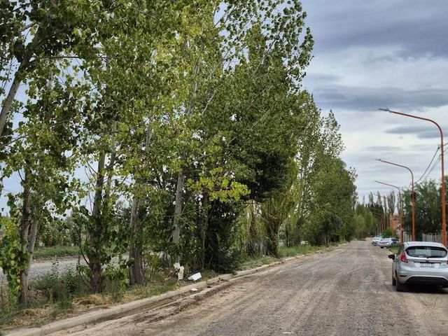 place photo 50