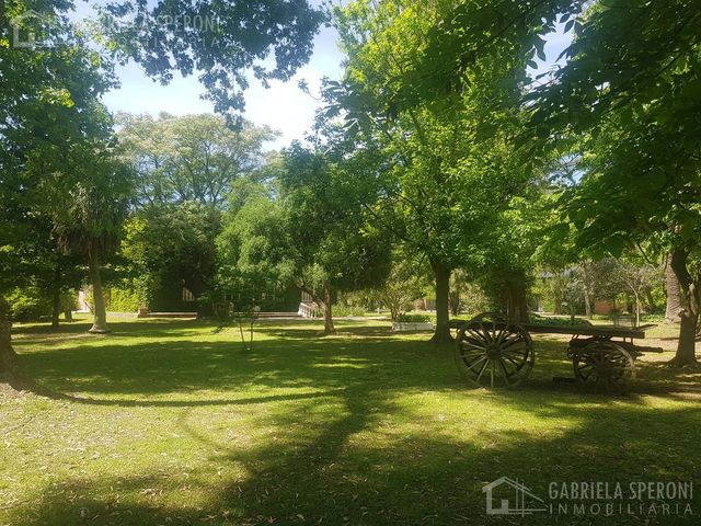 place photo 38