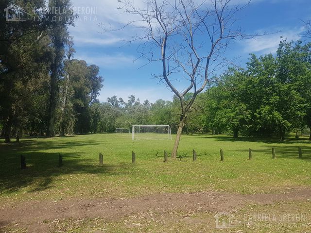 place photo 37
