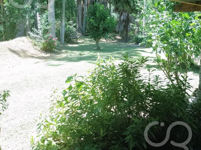 place photo 53