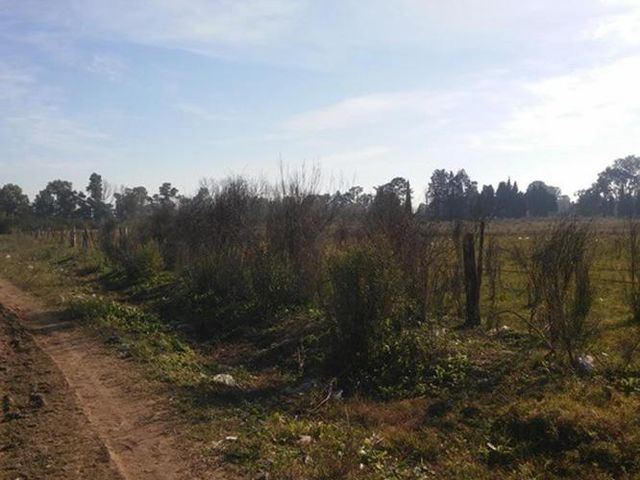 place photo 16