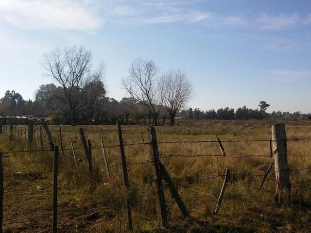 place photo 18