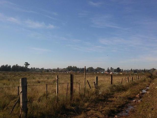 place photo 15