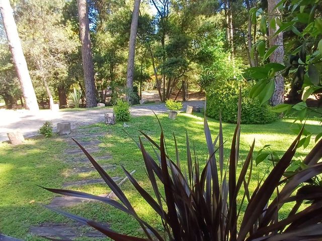 place photo 74