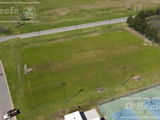 place photo 46