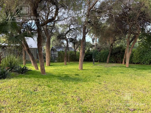 place photo 64