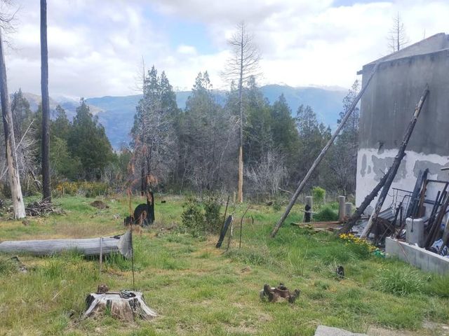 place photo 28