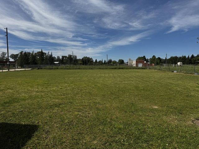 place photo 14