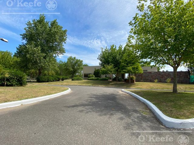 place photo 62