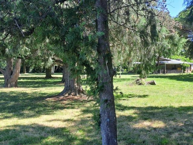 place photo 29