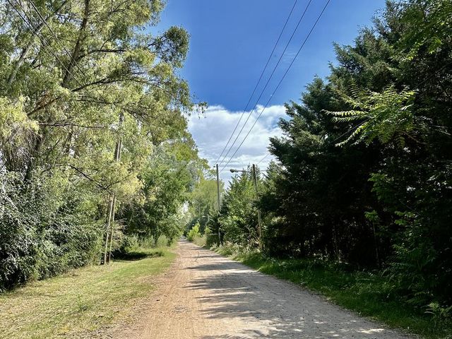 place photo 29
