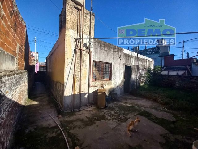 place photo 6