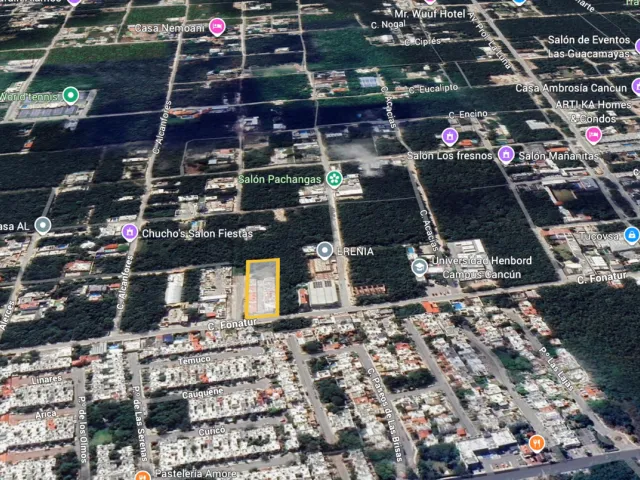 place photo 4