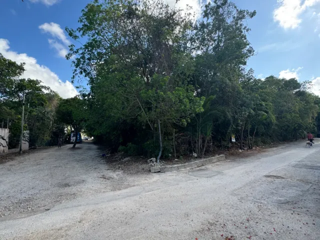 place photo 6