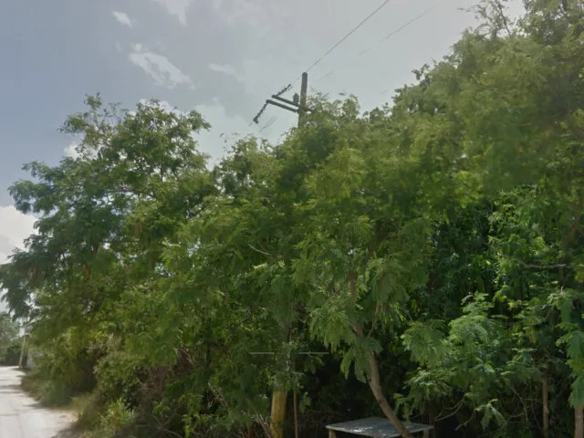place photo 7