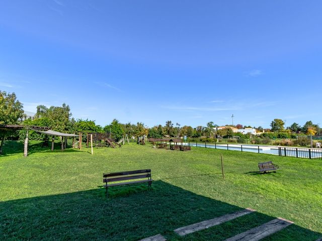 place photo 44