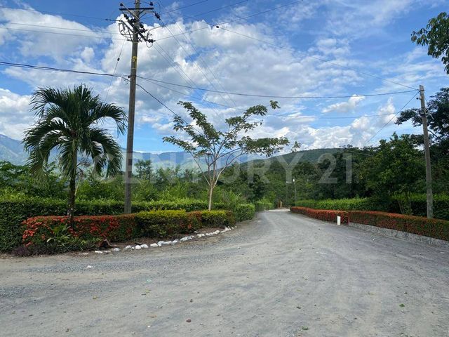 place photo 22