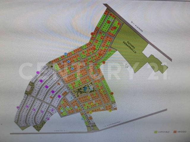 place photo 14