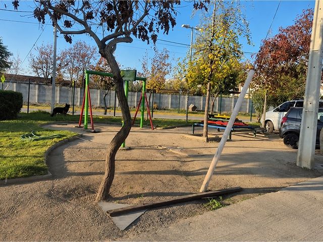 place photo 19