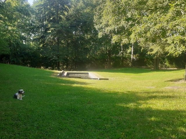 place photo 39