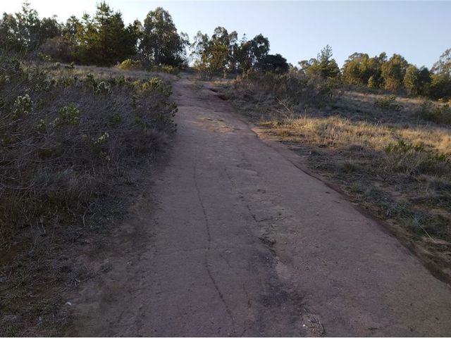 place photo 37