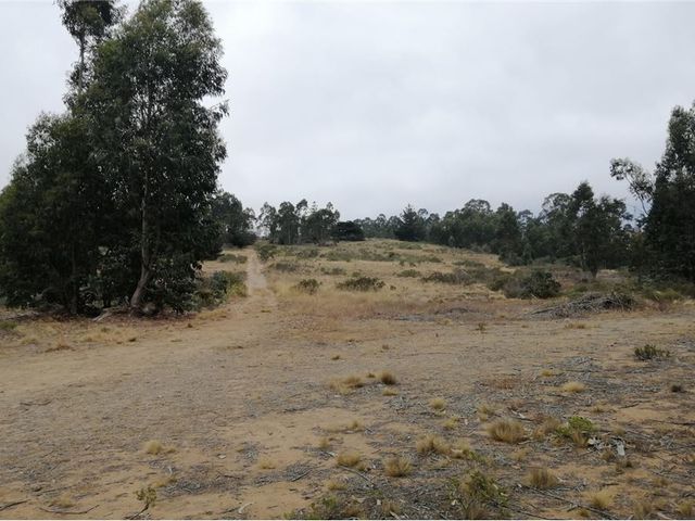 place photo 35