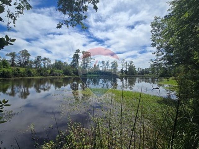 place photo 41