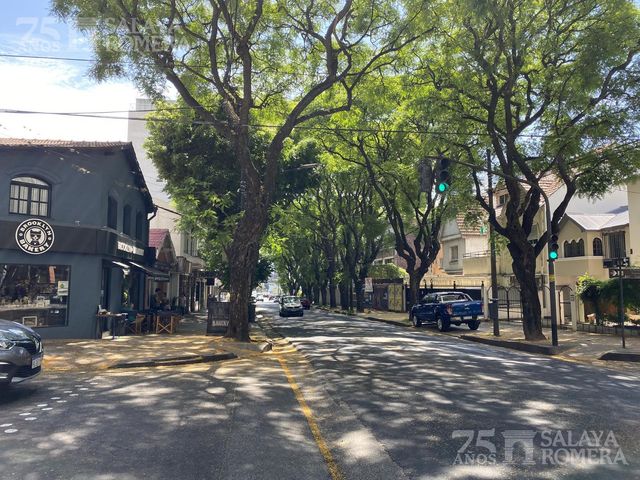 place photo 39