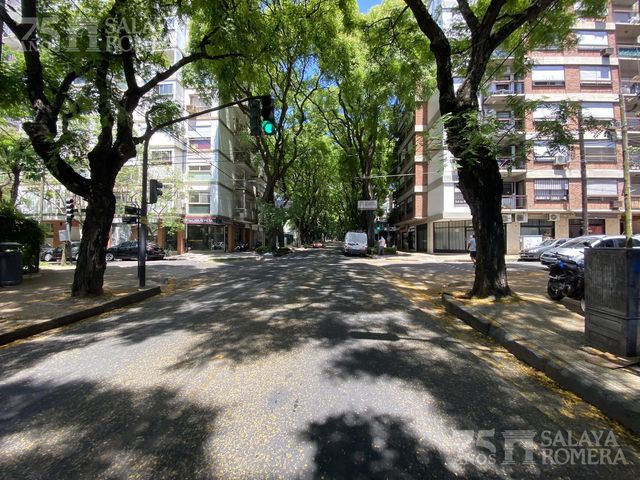place photo 38