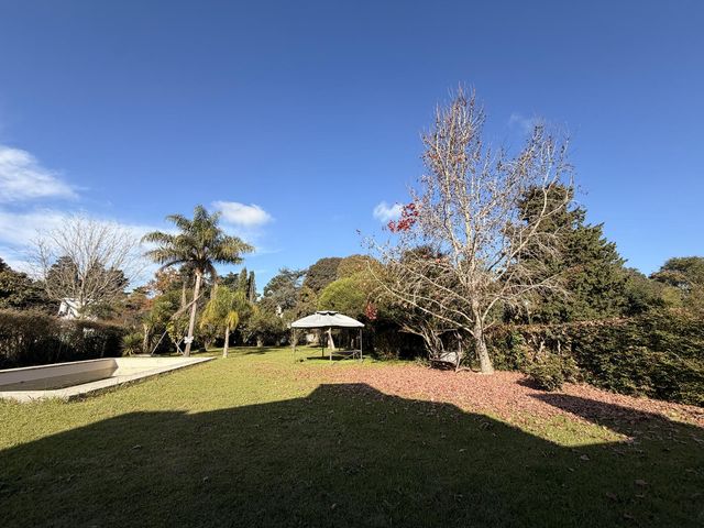 place photo 41