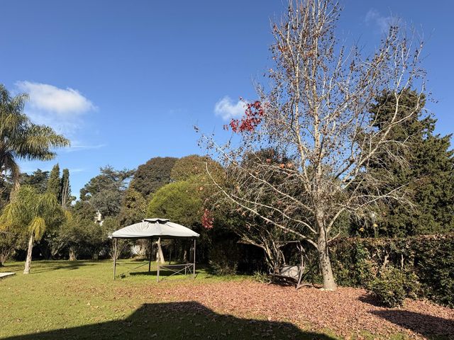 place photo 40